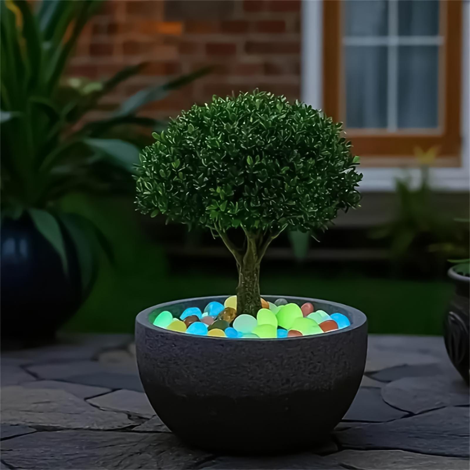 Planted Aquarium With Rocks - Kamienie do aranżacji krajobrazu 20 sztuk
