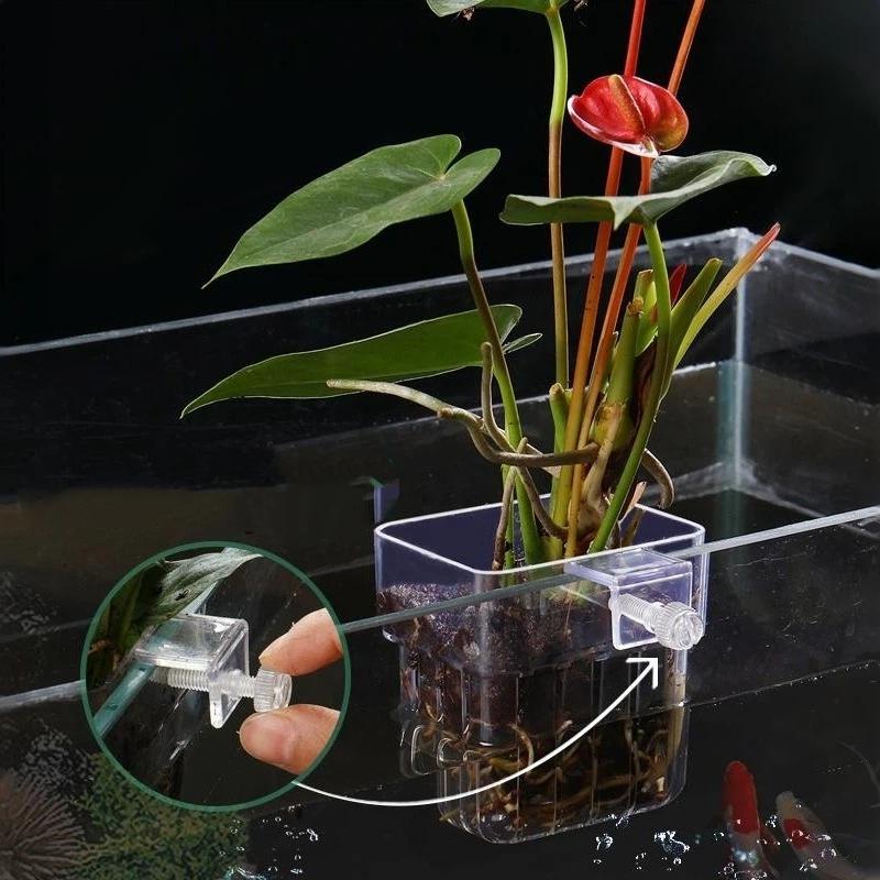 Aquarium Plant Easy To Grow - Przezroczysty, zawieszany uchwyt na rośliny akwariowe,