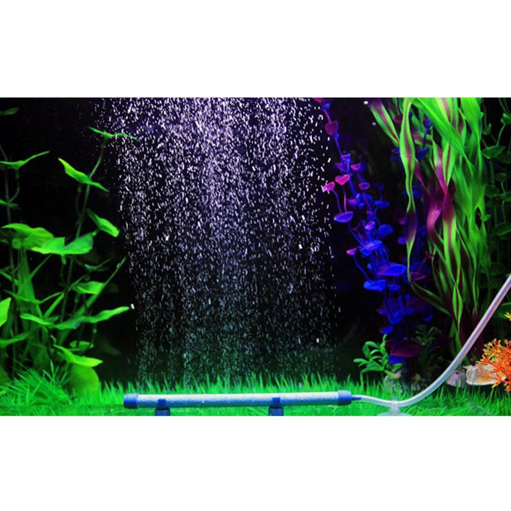 Dyfuzor tlenu do akwarium, aer – Planted Aquarium Air Stone recenzja i cena