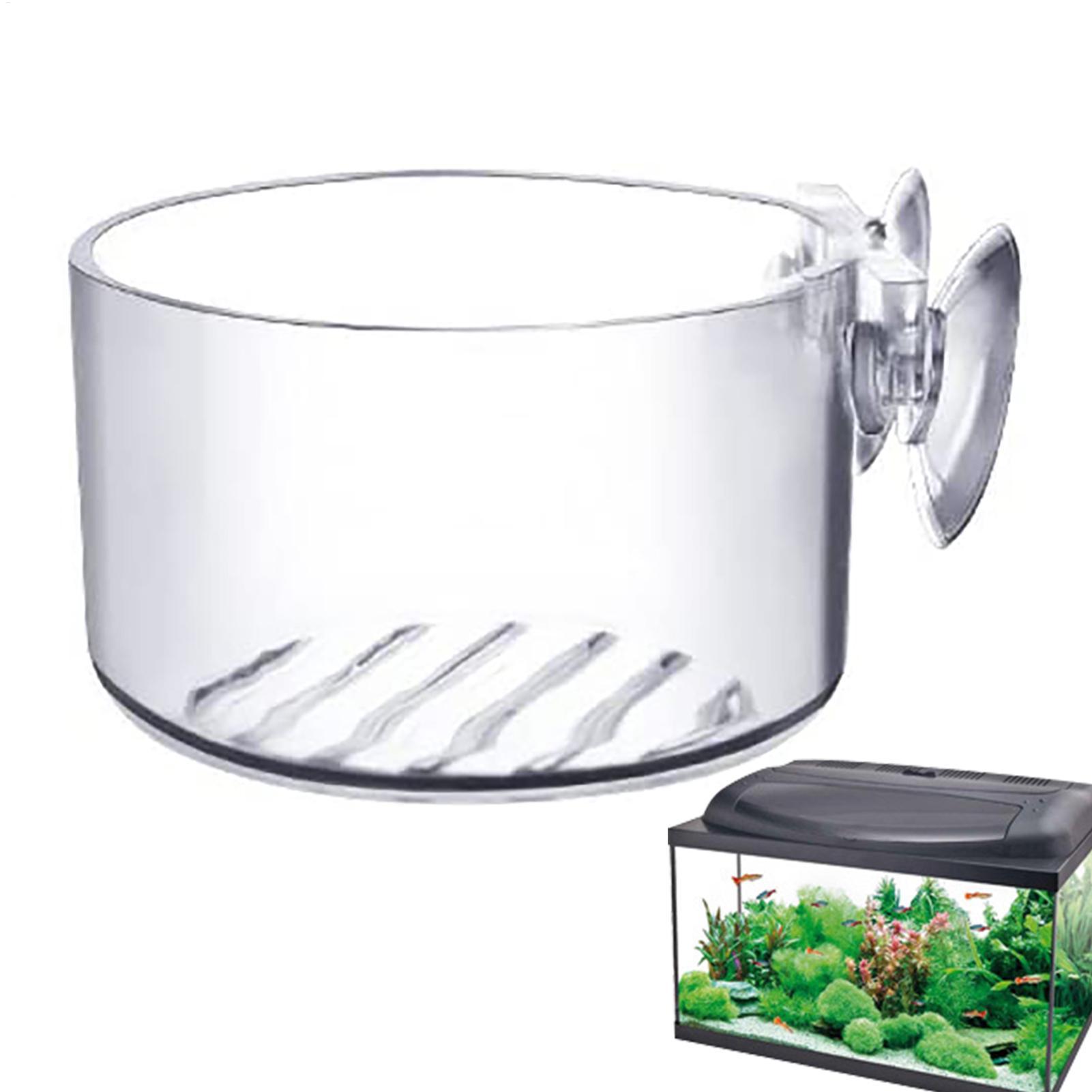 Akrylowy kubek na rośliny do a – Aquarium Plant Utensils recenzja i cena