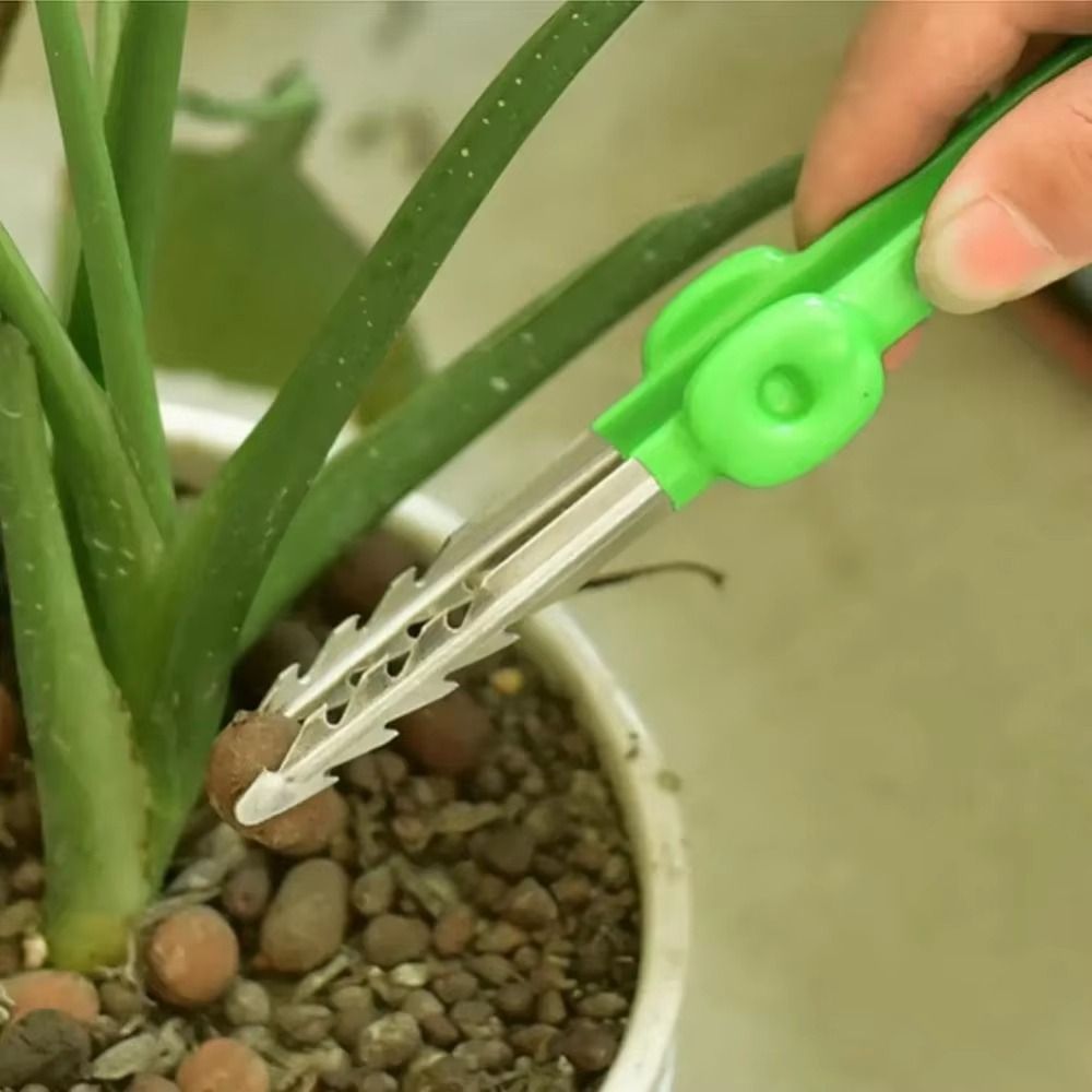 Pęseta ogrodnicza ze stali nie – Planted Clip Tweezers recenzja i cena