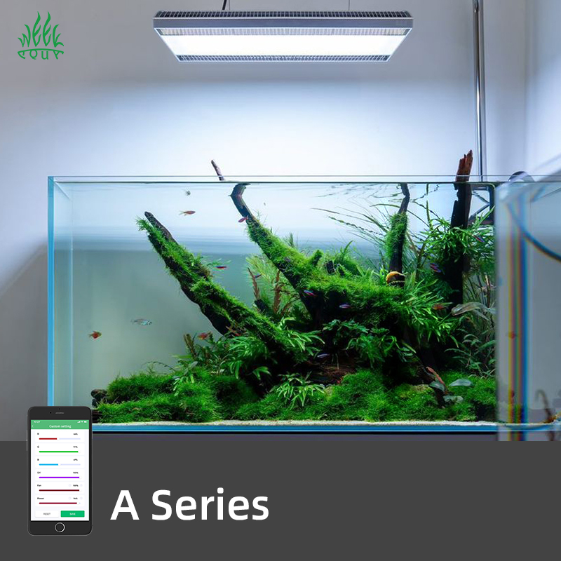 Week Aqua A430 Pro LED Lampa A – Planted Aquarium Hanging Light recenzja i cena