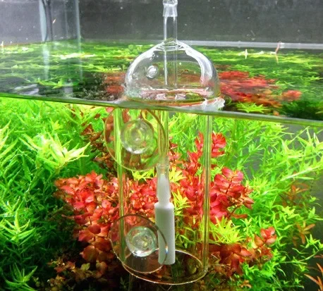 VIV DO DEVICE Cylinder akwario – Planted Aquarium Air Stone recenzja i cena