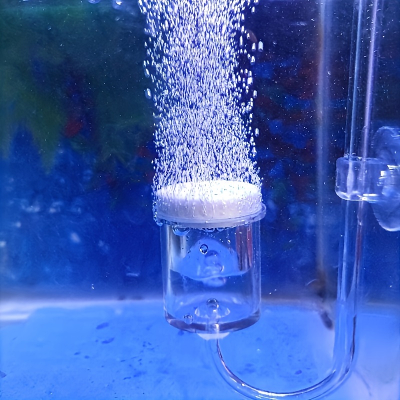 Szklany atomizer CO2 do akwari – Planted Aquarium Equipment recenzja i cena