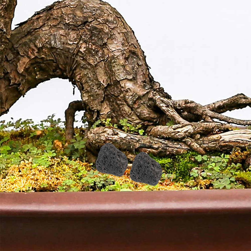 Kamienie wulkaniczne do akwari – Planted Aquarium With Rocks recenzja i cena