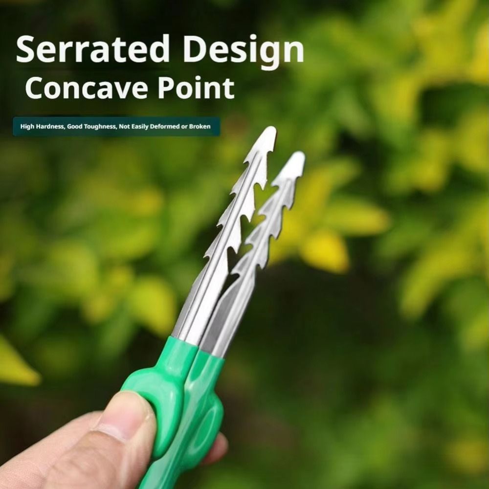 Pęseta ogrodnicza ze stali nie – Planted Clip Tweezers recenzja i cena