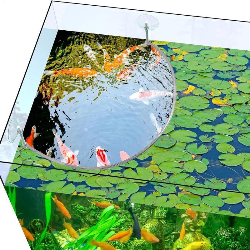 Pływający pierścień do karmien – Planted Aquarium Equipment recenzja i cena
